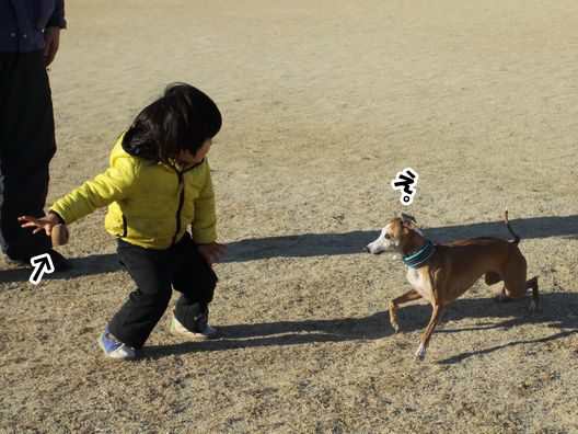 おりりん、まったく新しいボール投げに挑む。_b0234654_2019950.jpg