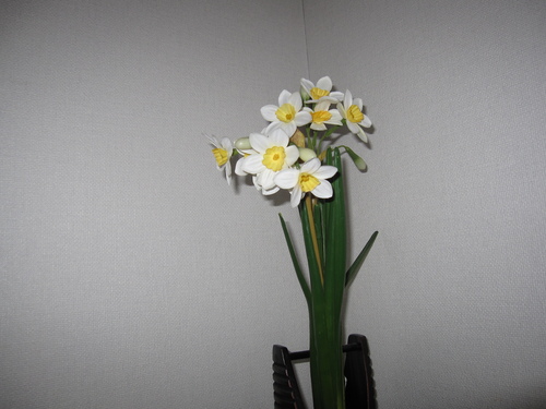 a0243064_14131832.jpg