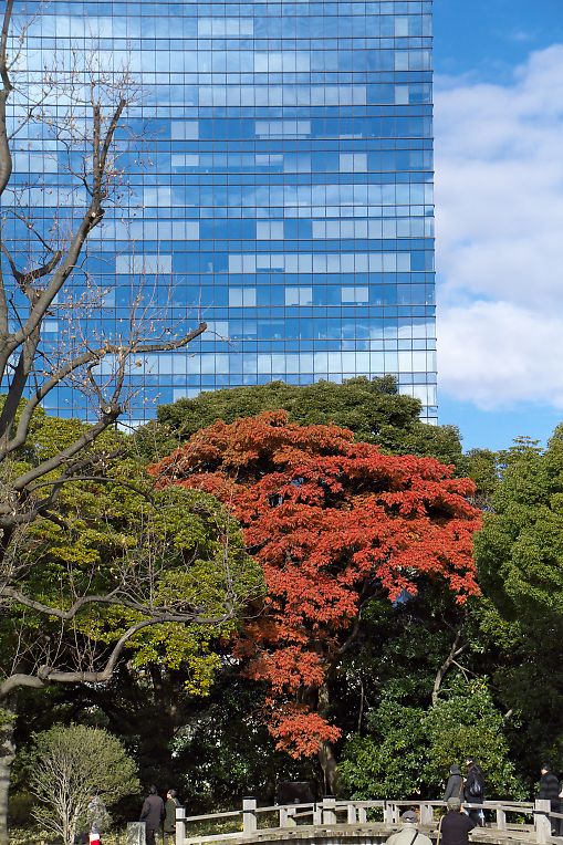 浜離宮庭園　放鷹術（1月３日）_c0057265_2412560.jpg