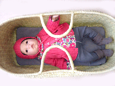 e0046665_1250274.gif