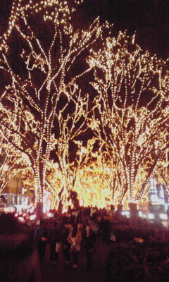 b0221579_1141544.jpg