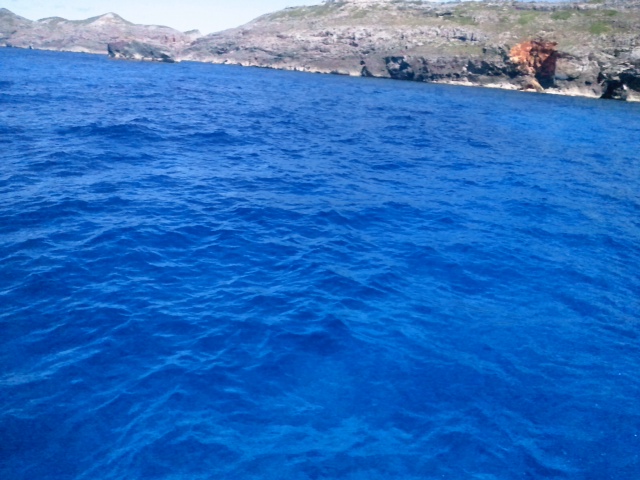 b0221579_19583690.jpg