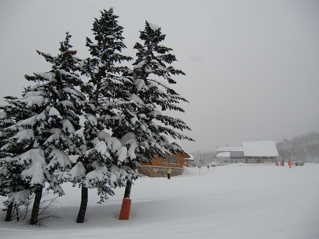 a0242984_18142487.jpg