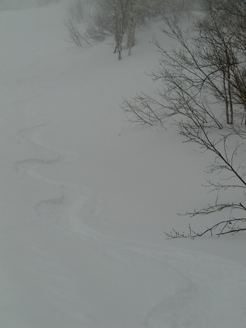 a0242984_18163482.jpg