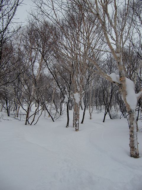 a0242984_18214078.jpg