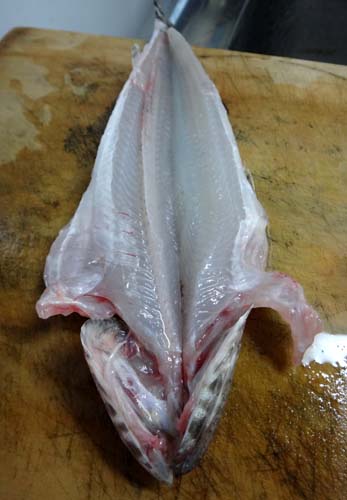 エソと干物と炭火焼き トキシンのイラストレーター的 沖縄 生活