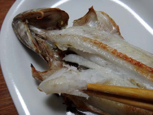 エソと干物と炭火焼き トキシンのイラストレーター的 沖縄 生活