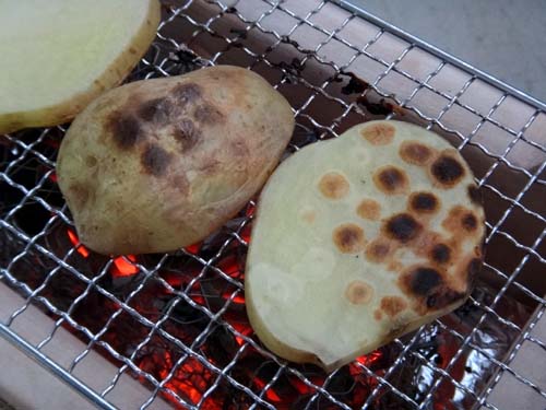 エソと干物と炭火焼き トキシンのイラストレーター的 沖縄 生活 エソと干物と炭火焼き トキシンのイラストレーター的 沖縄 生活