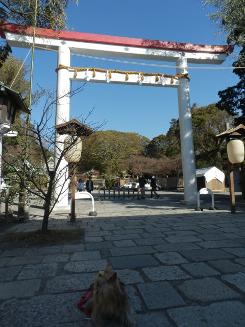f0130894_2251541.jpg