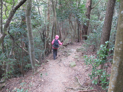 初遠征は宮崎の2山へ　その2～釈迦ヶ岳　2012・1・3_a0166196_17592021.jpg