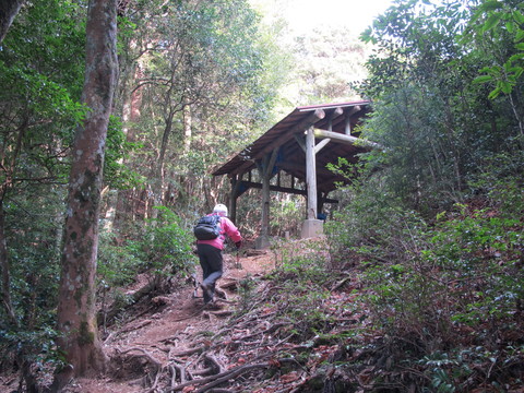 初遠征は宮崎の2山へ　その2～釈迦ヶ岳　2012・1・3_a0166196_1813462.jpg