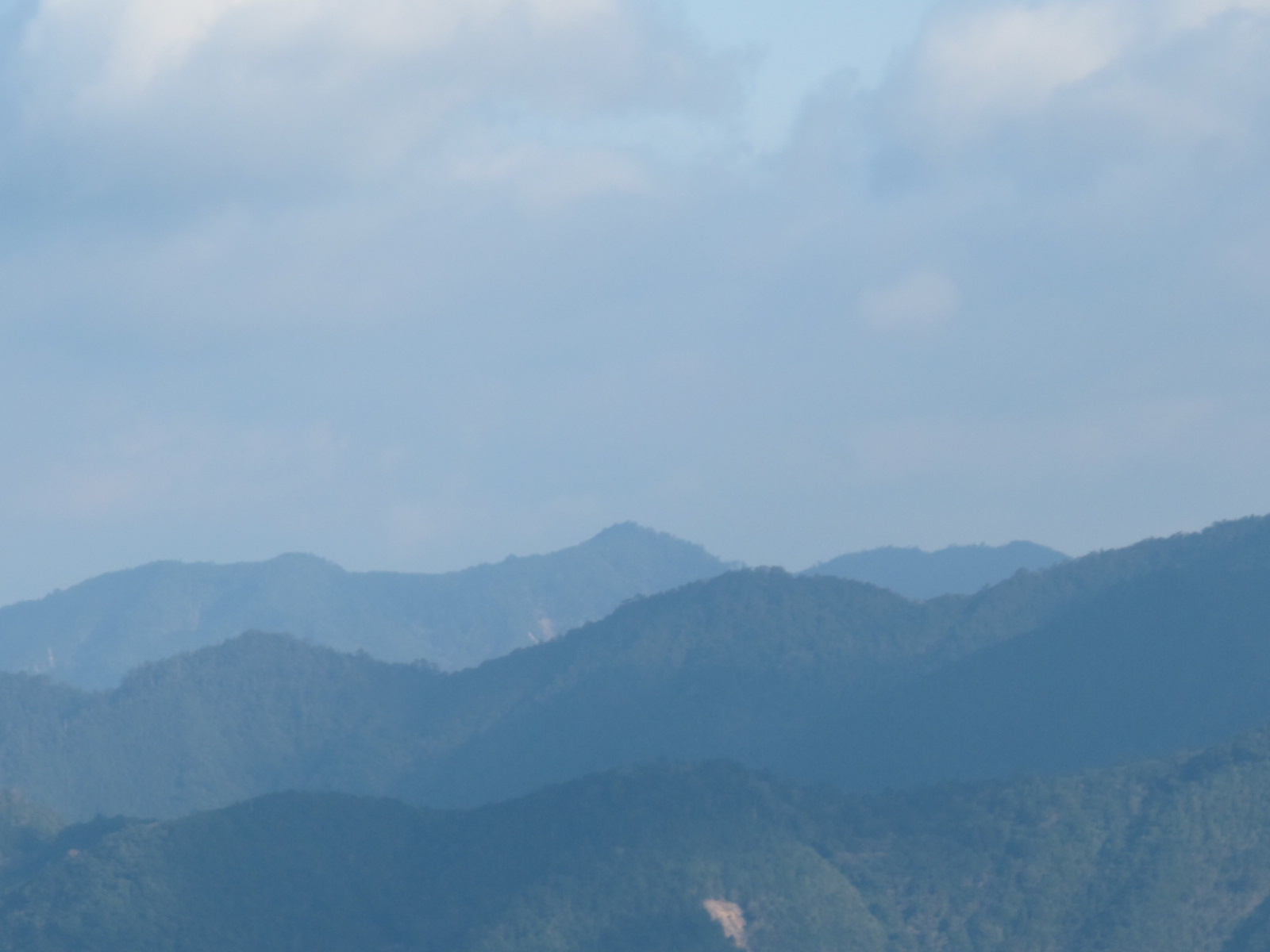 初遠征は宮崎の2山へ　その2～釈迦ヶ岳　2012・1・3_a0166196_183548.jpg