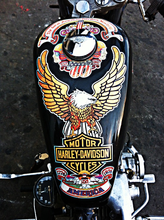 TNK\'s ShovelHead Chopper_a0165898_223895.jpg