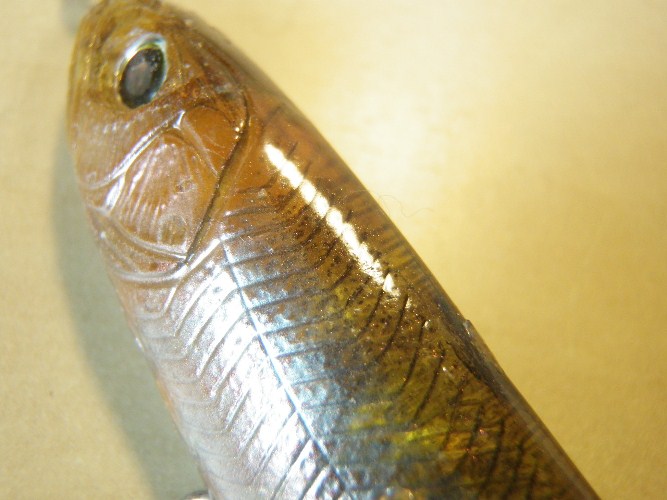 NLW2012_d0145899_22565444.jpg