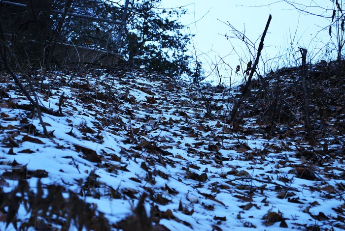 e0169200_024876.jpg