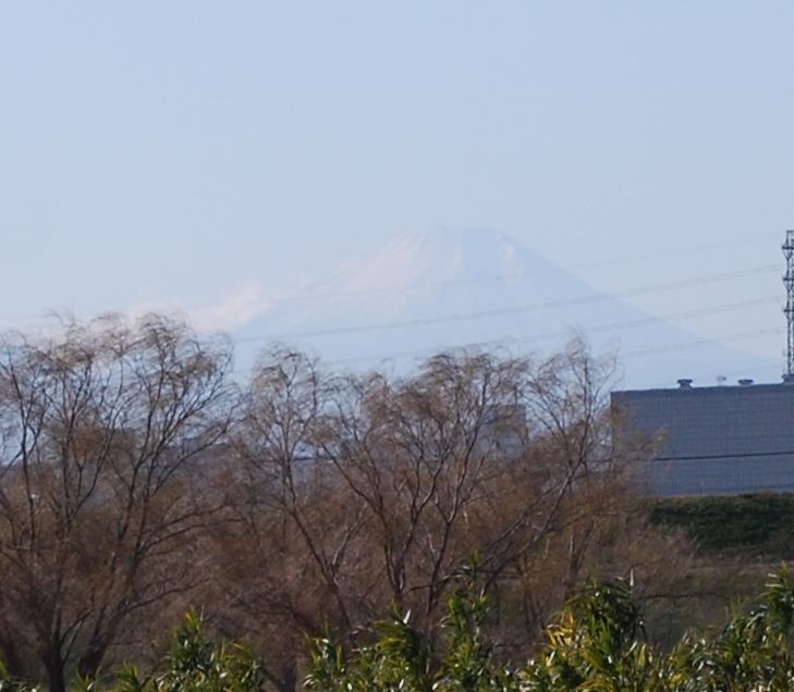 f0109202_14494858.jpg