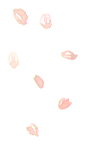 a0127005_178548.gif