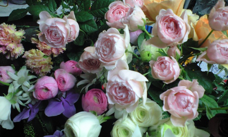 d0227610_014163.jpg