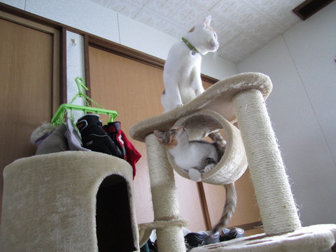 e0044810_12452654.jpg