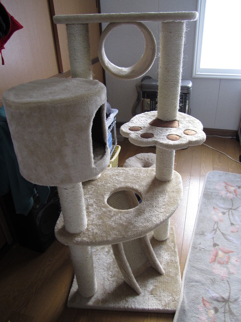 e0044810_131551100.jpg