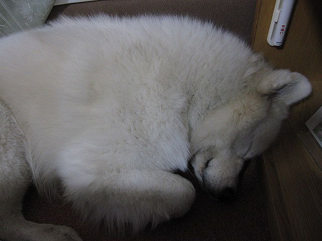 f0213924_2382037.jpg