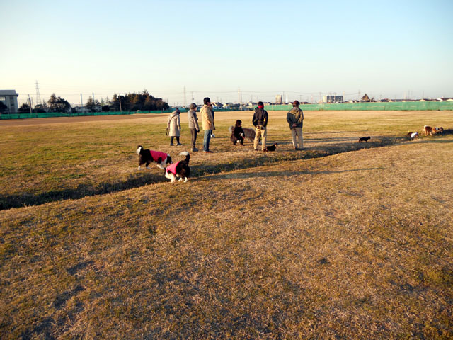 d0059230_959252.jpg