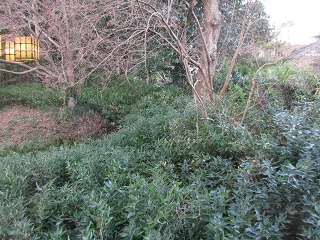 e0202031_22413990.jpg