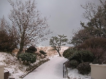 b0187737_22462075.jpg