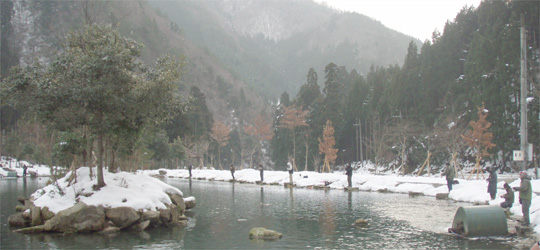 b0169939_8453418.jpg
