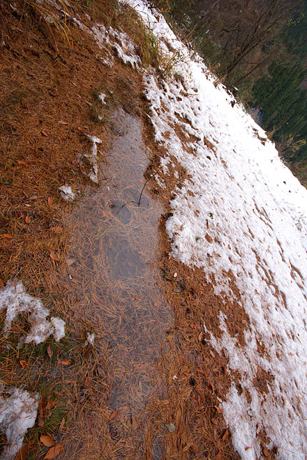 c0067040_21473380.jpg