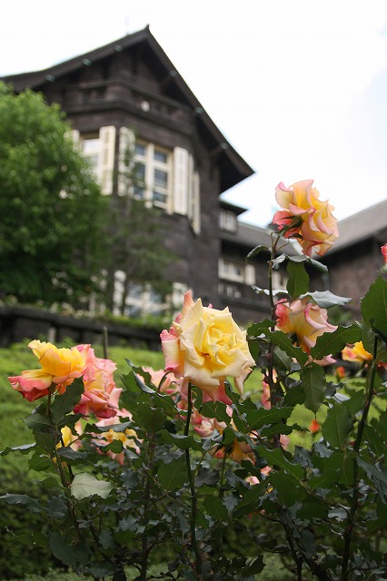 a0214142_20532128.jpg