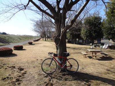 やっぱりおいらは…(2012年走り初め! 1月7日の走行)_b0136045_11155758.jpg