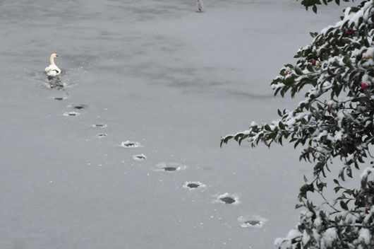 c0093046_7292994.jpg