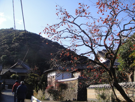 c0108460_20471396.jpg