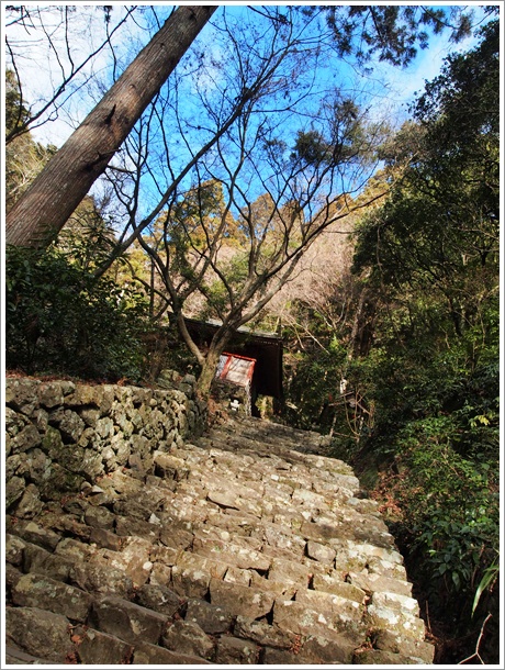 鳳来寺山(684m)　2012年1月5日　初詣ハイク【１】_d0071563_16535827.jpg