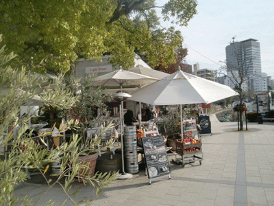 d0137664_2213568.gif