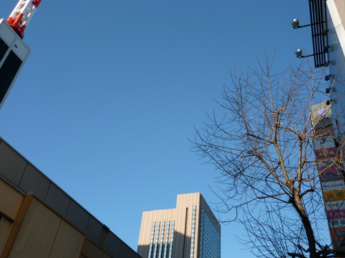 準備はOKです・・・_e0252966_15373445.jpg