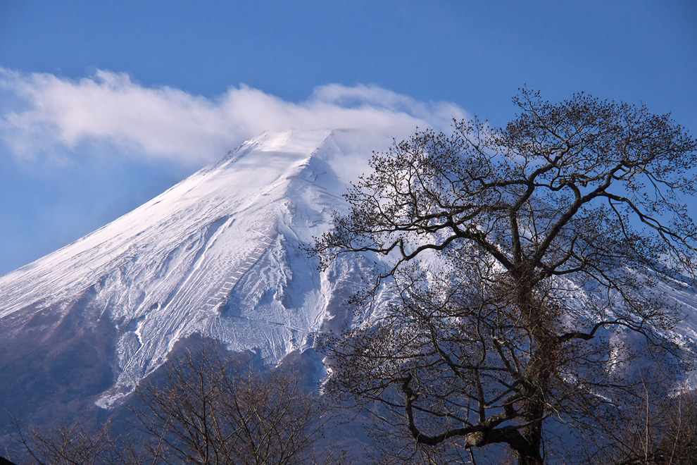 続・富士山_e0214470_21162415.jpg