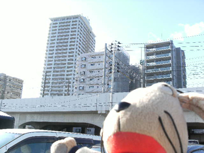 c0158573_16165351.jpg
