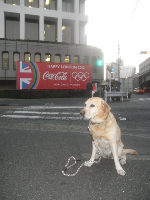 2012年初の「魚の日」 _f0052277_015936.jpg