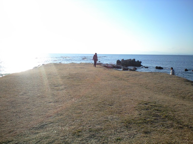 c0149285_1301260.jpg