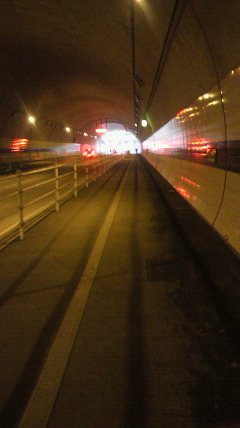 a0168186_8315774.jpg