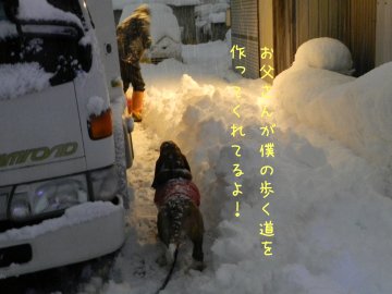 大雪！！_f0205887_2048413.jpg