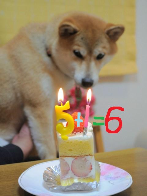 ついに私も・・・_a0126590_22513338.jpg