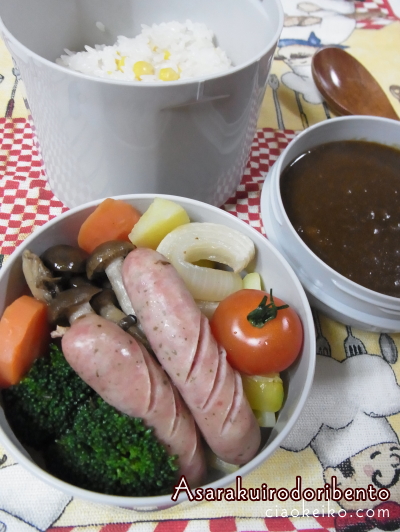 温・焼き野菜カレー弁当_a0221895_1941253.jpg