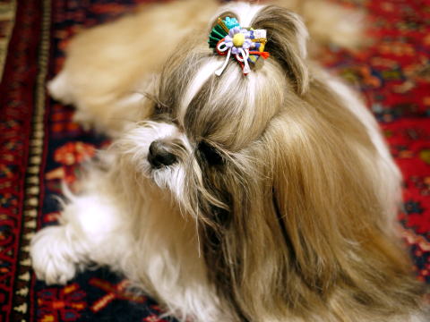 c0090198_343819.jpg