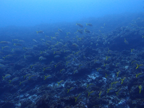 e0115199_12385284.jpg