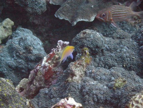 e0115199_12522682.jpg