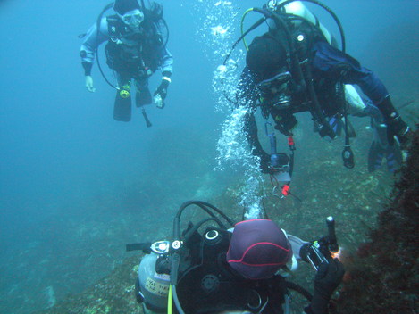 e0115199_12574146.jpg