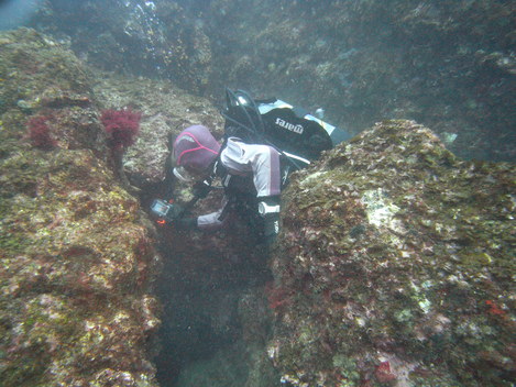 e0115199_12575779.jpg